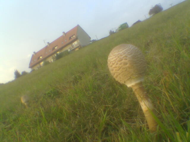 Obraz018.jpg